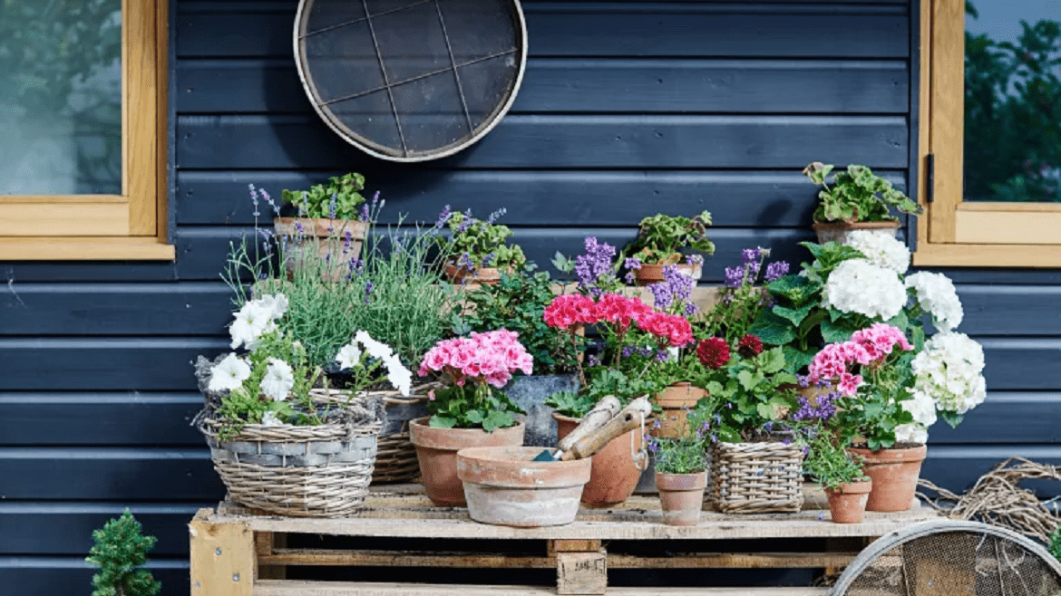 قرار دادن گلدان کوچک برای طراحی فضای حیاط