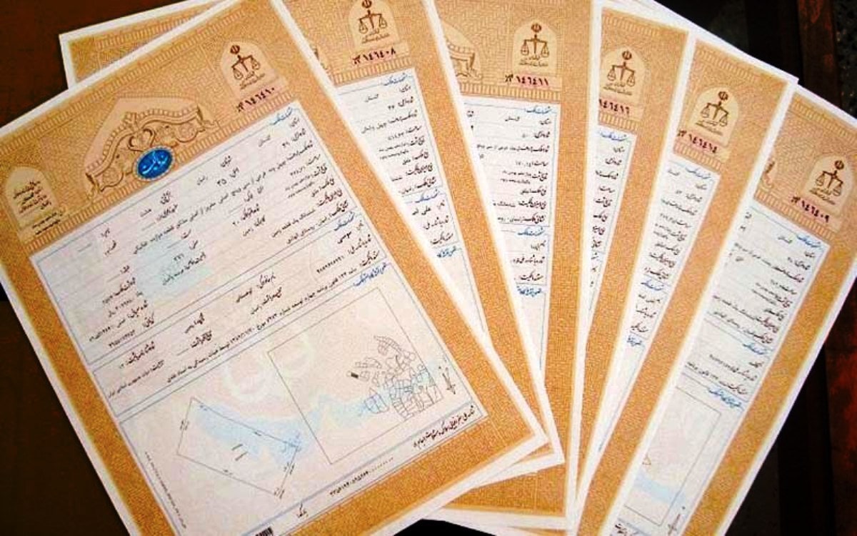 سند تک برگ چیست و چه تفاوتی با سند منگوله‌دار دارد؟